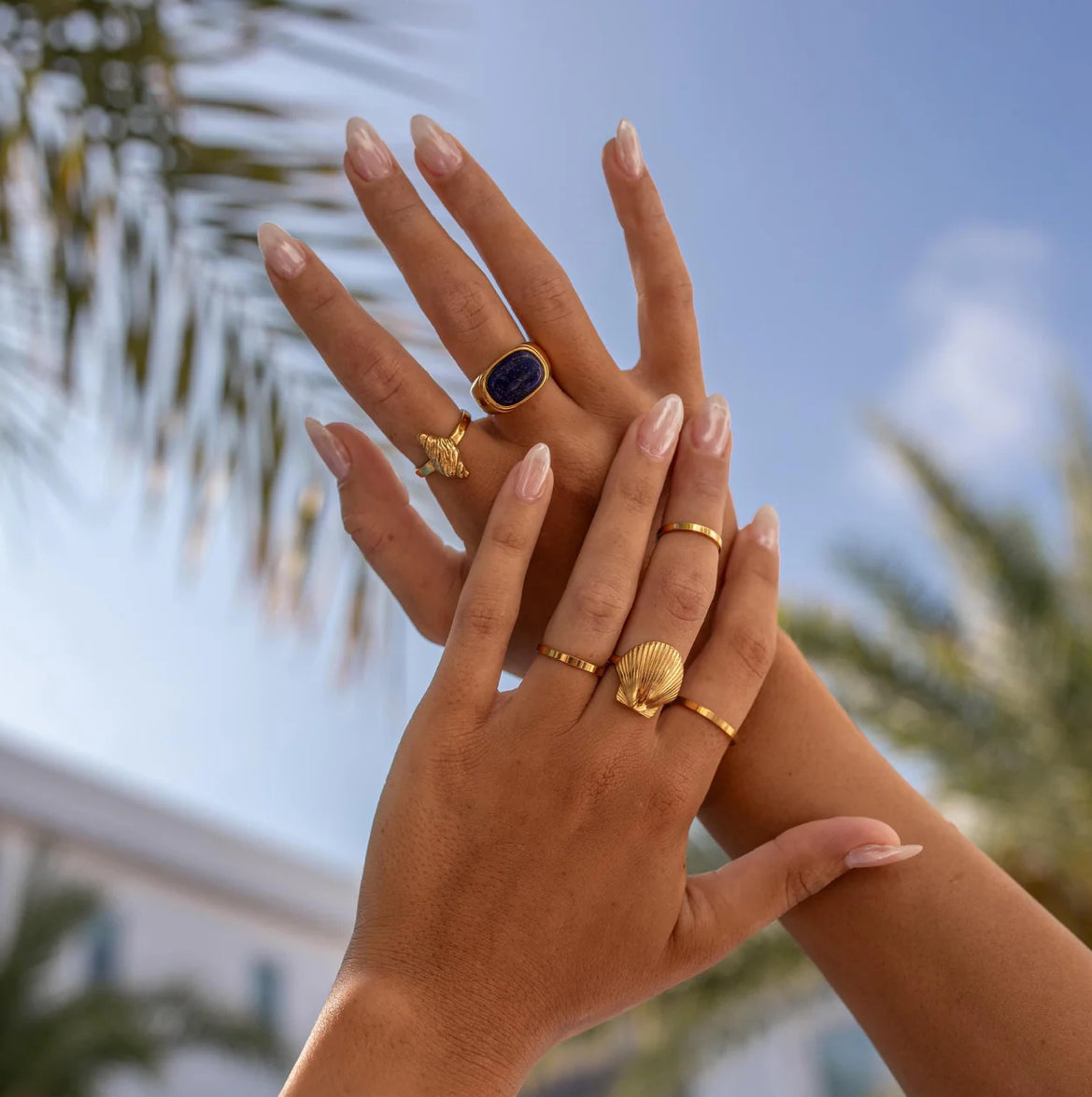 Conch Shell Ring - ALCO