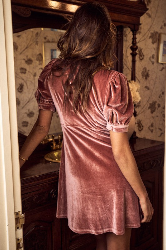 Velvet Rose Mini Dress