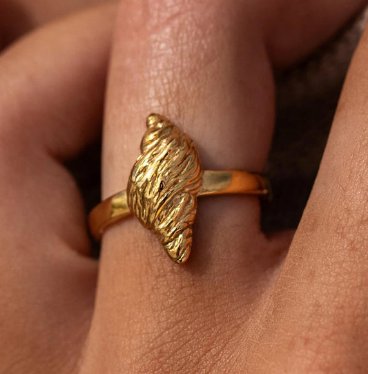 Conch Shell Ring - ALCO
