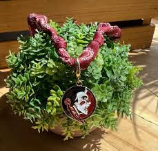 FSU Seminoles Logo Bandana Scarf Necklace