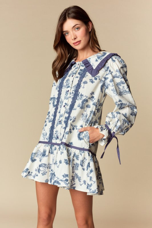 Eloise Collar Mini Dress
