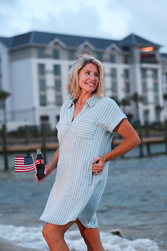 Beach Picnic Chambray Dress